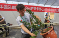 “花海明光”首屆花卉盆景文化旅游節(jié)盛大開幕