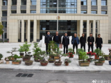 蒙城县发生多起花卉盆景被盗案件 “采花贼”被抓获