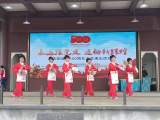 宜秀区罗岭镇： “永远跟党走 迈向新征程”庆祝建党100周年文艺演出精彩纷呈