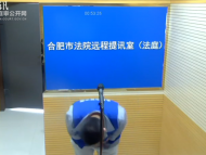 合肥一“95后”小伙為還30萬元網貸假意租房 搶劫女房東致其死亡
