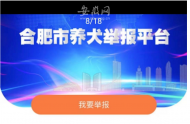  涉犬警情量同比下降近三成  合肥警方解讀不文明養犬“隨手拍”