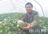 搭乘快递“太空舱”  淮南潘集酥瓜香飘全国