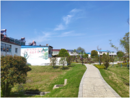 肥西縣山南鎮六合中心村：讓美麗在肥西鄉村綻放