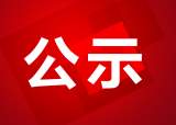 蚌埠市政法系统顽瘴痼疾专项整治清单内容公示