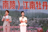 南陵江南牡丹文化旅游节于4月10日在芜湖南陵开幕