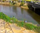 铜陵供电：“云劝离”解锁防钓鱼触电新方式
