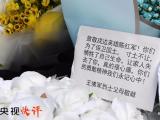 【央視快評】繼承英烈遺志譜寫時代史詩