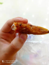 池州：顧客購買超市油炸大蝦吃出活蛆 員工竟稱“蛆是蛋白質”