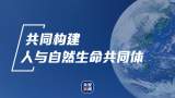 从预报天气到预测气候 我国公众气象服务进一步拓展