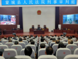 蒙城县公安局特巡警大队原副大队长代玉民涉嫌受贿案一审开庭