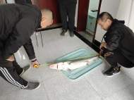 長江蕪湖繁昌區(qū)段發(fā)現(xiàn)一條人工繁育中華鱘   魚身有編號已死亡