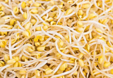 黄豆芽检出禁含物质 宿州通报3批次食品农产品不合格 