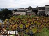 安徽省打造六大特色旅游板块