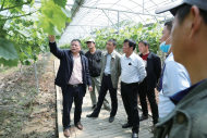 合肥市“10號遠教課堂”示范培訓班在大圩鎮舉辦  室內授課和實地講解相結合