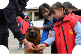 贵池秋浦街道开展进警犬大队实践活动