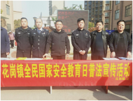 肥西縣花崗鎮(zhèn)開展全民國家安全教育日系列宣傳活動