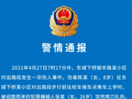東莞一26歲女子持刀捅傷8歲小學(xué)生 警方通報(bào)