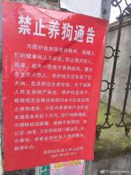 湖南一社區通告要求養狗戶限期自行將狗捕殺 社區書記回應記者：“你不要打電話給我”