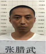 合肥公安公开征集张腊武、张家文等人违法犯罪线索