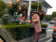 阜陽：等紅燈時一女乘客在綠化帶中剪花 已被處罰