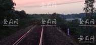 村民報警大樹倒在皖贛鐵路線上?  一列即將通過貨物列車被扣停