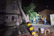 狂風暴雨中  安慶675名供電搶修人員為恢復供電徹夜未眠