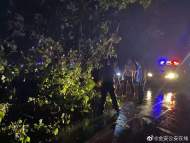 暴雨疾風突襲六安  將3米高樹木攔腰折斷
