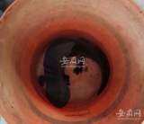 太和一大爷早上遛弯捡到3斤重娃娃鱼  