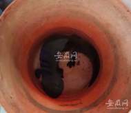 太和一大爺早上遛彎撿到3斤重娃娃魚??