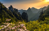 妙想黄山 奇思回潮|“黄山最美蜂景线”专题栏目上线 赋能旅游新体验