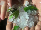 冰雹+暴雨+狂风 黄山市黄山区部分地区受灾