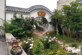 河溜鎮陳文華：帶頭打造“美麗庭院”