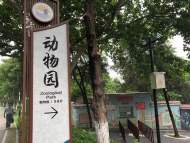 痛心！蚌埠一動物園飼養員遭老虎襲擊 不幸身亡