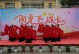 阳光下成长 快乐齐飞扬——桐城市龙眠小学举行“庆六一”文艺汇演活动