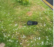 池州多地遭遇大風冰雹等強對流天氣：樓頂的太陽能被吹了下來