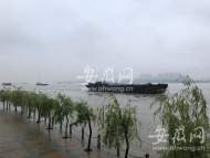 雷電+短時強降水+大風！未來一周安徽多降水過程