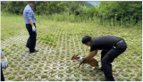 黃山一小黃麂飲水時落水  警民聯(lián)合助其上岸