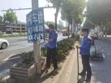 山寨“指路牌”混入路面做广告 合肥包河区城市管理局：见到就拆  