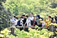 黃山景區(qū)迎客37015人 黟縣游客同比增123.49%  5月2日黃山市成旅游熱點