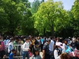 即将限流 5月2日半天合肥野生动物园游客已达4万 
