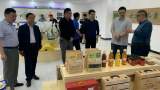 安徽省科技厅农村处陈雷一行到阜南县开展省级农业科技园区调研工作