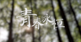 吳婷：碎花碎流年