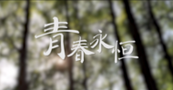 吳婷：碎花碎流年