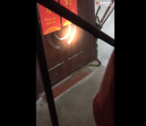 淮南消防员一脚“制服”大蛇  队友直呼“这哥哥真猛啊”