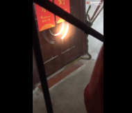 淮南消防員一腳“制服”大蛇  隊友直呼“這哥哥真猛啊”