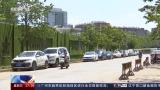 新老司机们看过来！6月起驾考、交管将有这些重大变化