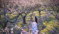 吳中偉：燦若桃花