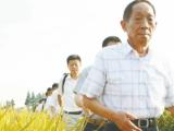 7年5次走访芜湖田间地头 袁隆平对芜湖一直怀有“特殊感情”