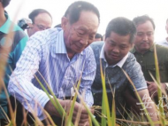 新安晚報記者鏡頭中的袁隆平：和藹可親的“80后”