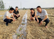 选派干部马凤林：扶贫路上守初心  带领全部贫困户脱贫摘帽